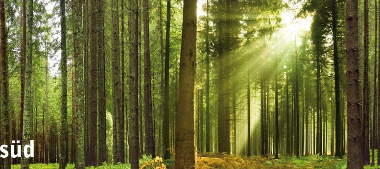 Netzwerk Unternehmerinnen