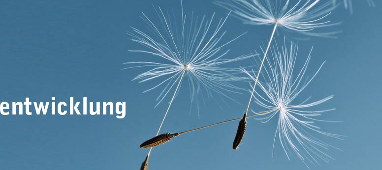 Netzwerk Unternehmerinnen