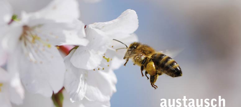 Netzwerk Unternehmerinnen